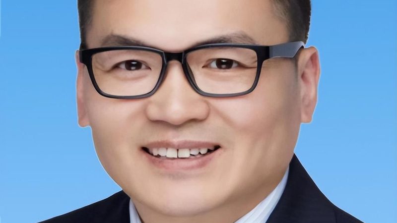 热继电器与过载继电器：揭秘十大品牌背后的技术奥秘